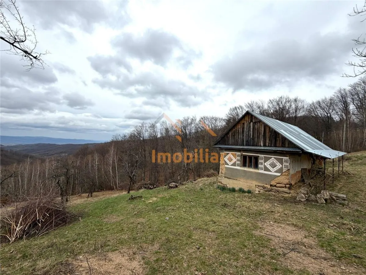 TEREN 34.000 MP | SERANI BIHOR - foto 1