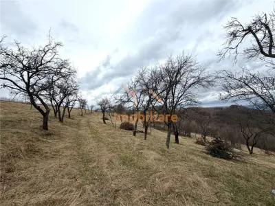 TEREN 34.000 MP | SERANI BIHOR - foto 2