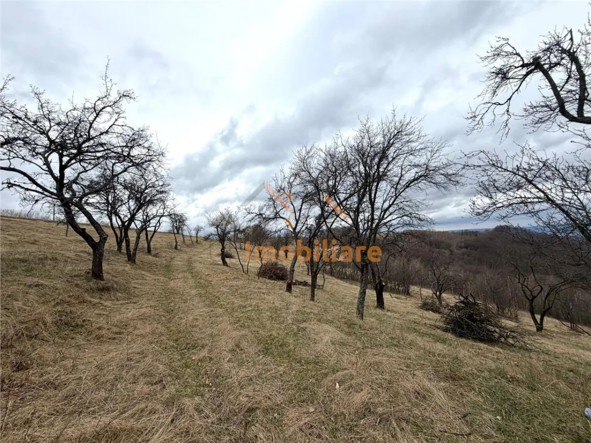 TEREN 34.000 MP | SERANI BIHOR - foto 2
