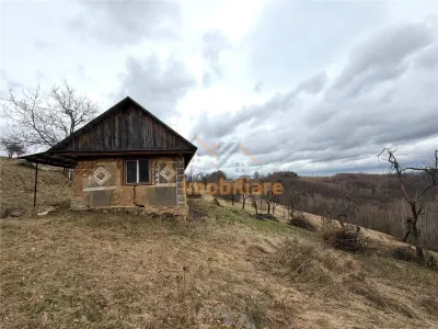 TEREN 34.000 MP | SERANI BIHOR - foto 3
