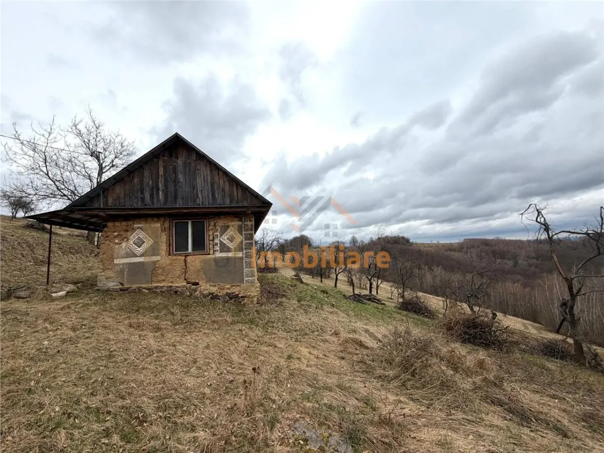 TEREN 34.000 MP | SERANI BIHOR - foto 3