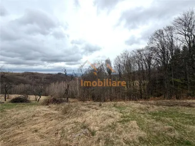 TEREN 34.000 MP | SERANI BIHOR - foto 4