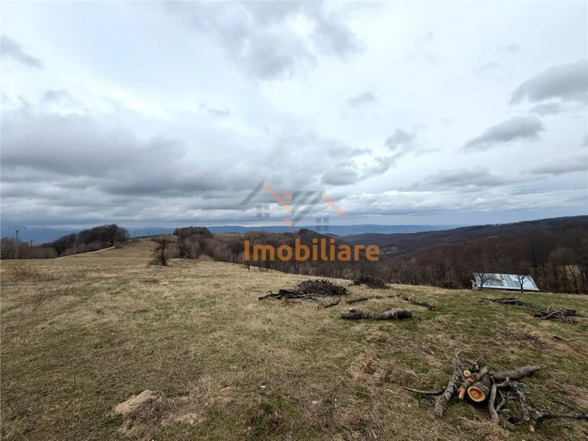 TEREN 34.000 MP | SERANI BIHOR - foto 5