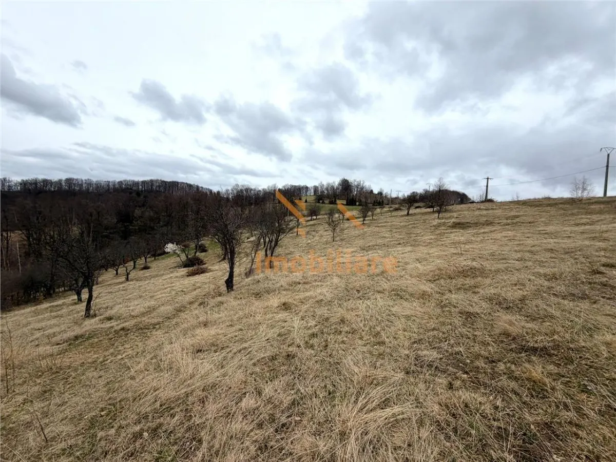 TEREN 34.000 MP | SERANI BIHOR - foto 6