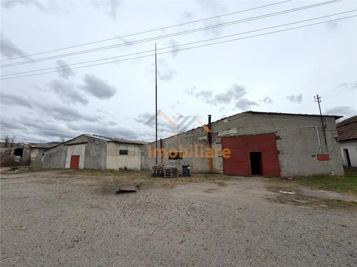 HALE INDUSTRIALE | CLADIRE BIROURI | TEREN 7000 MP | GHEGHIE BIHOR - foto 2