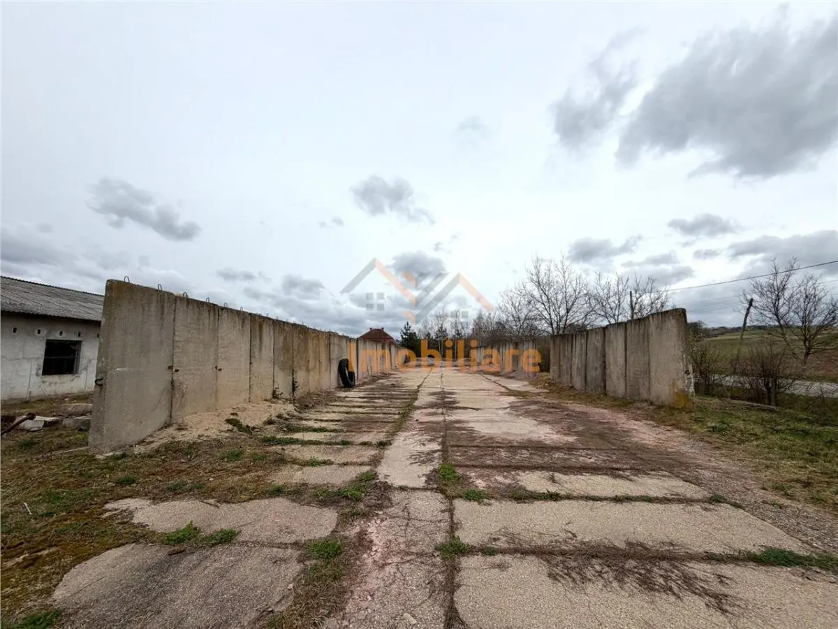 HALE INDUSTRIALE | CLADIRE BIROURI | TEREN 7000 MP | GHEGHIE BIHOR - foto 11