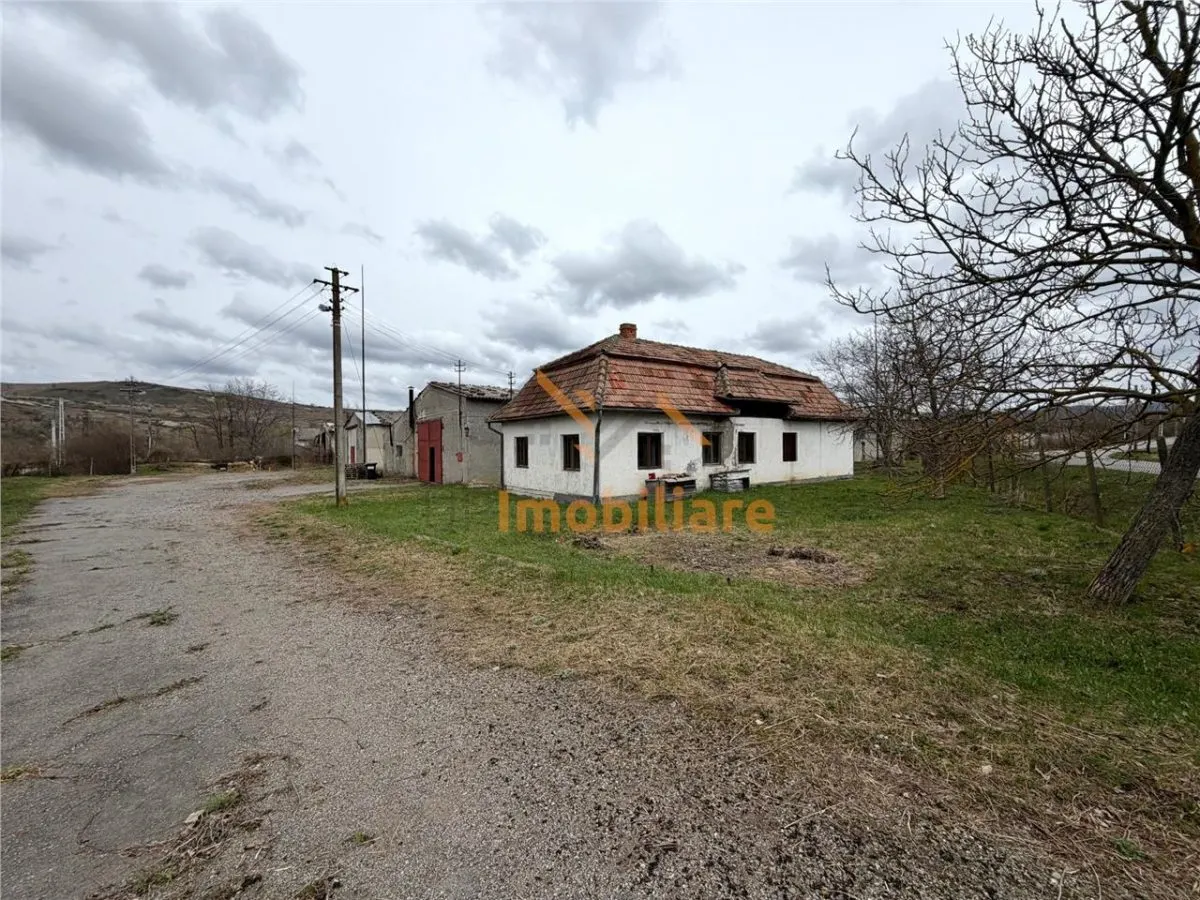 HALE INDUSTRIALE | CLADIRE BIROURI | TEREN 7000 MP | GHEGHIE BIHOR - foto 12