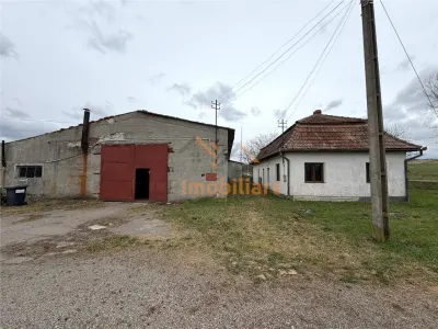 HALE INDUSTRIALE | CLADIRE BIROURI | TEREN 7000 MP | GHEGHIE BIHOR - foto 3