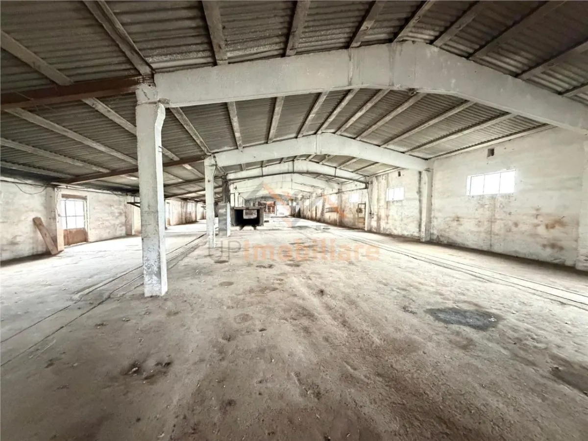 HALE INDUSTRIALE | CLADIRE BIROURI | TEREN 7000 MP | GHEGHIE BIHOR - foto 4