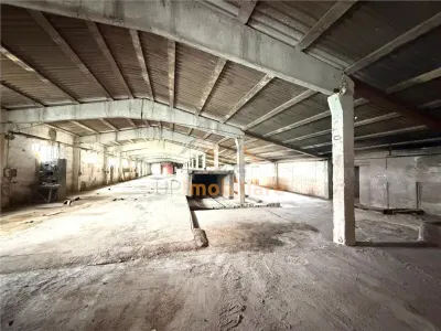 HALE INDUSTRIALE | CLADIRE BIROURI | TEREN 7000 MP | GHEGHIE BIHOR - foto 5