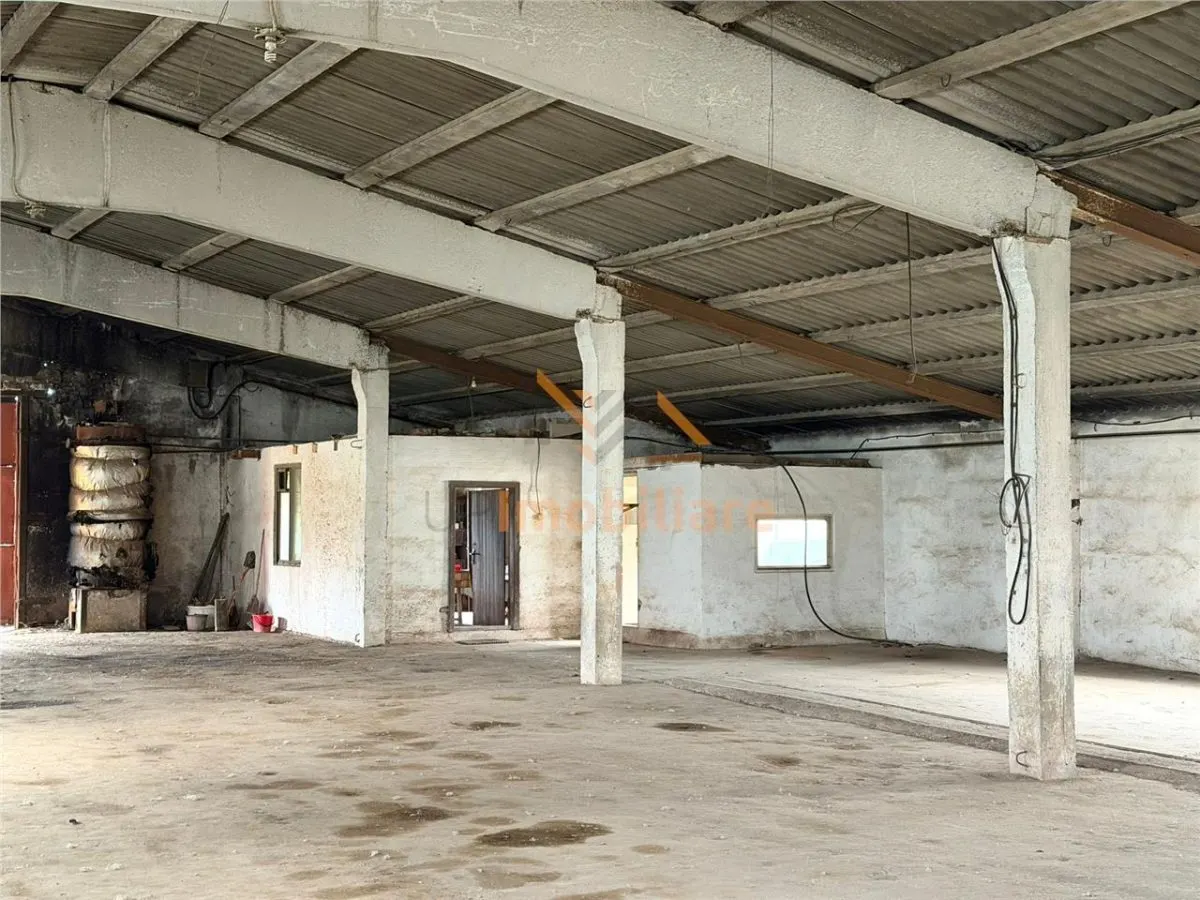 HALE INDUSTRIALE | CLADIRE BIROURI | TEREN 7000 MP | GHEGHIE BIHOR - foto 6