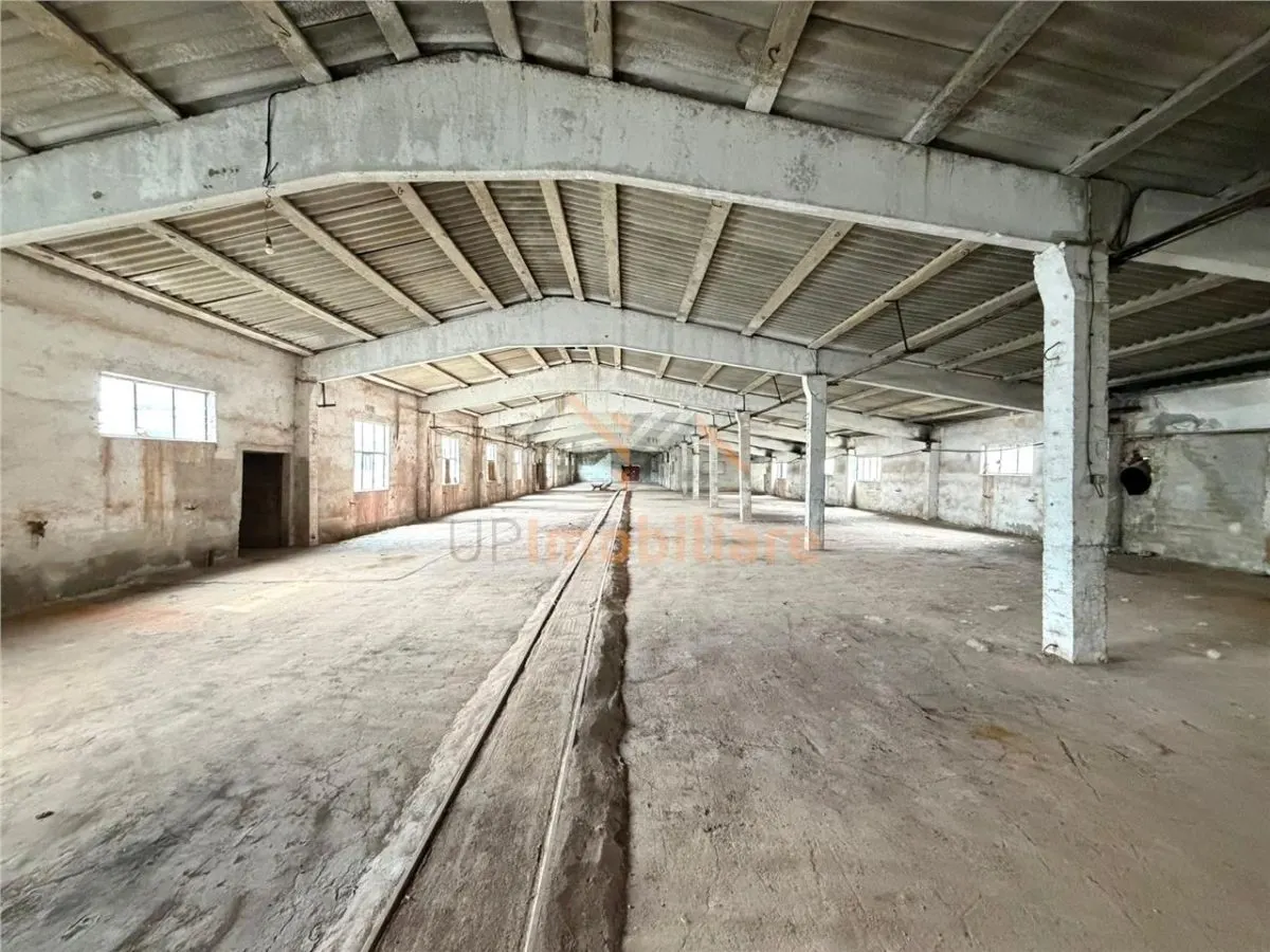 HALE INDUSTRIALE | CLADIRE BIROURI | TEREN 7000 MP | GHEGHIE BIHOR - foto 8