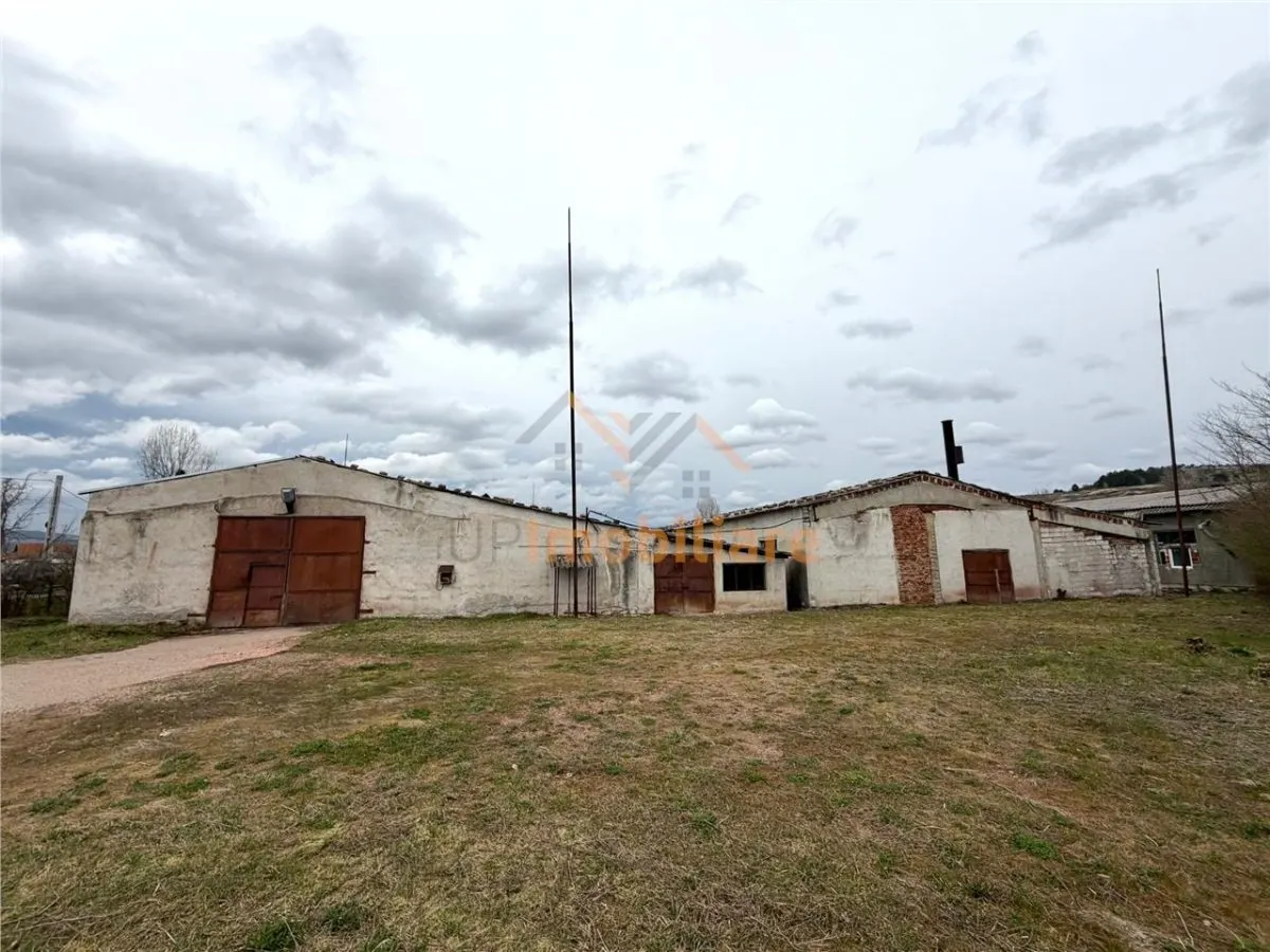 HALE INDUSTRIALE | CLADIRE BIROURI | TEREN 7000 MP | GHEGHIE BIHOR - foto 10