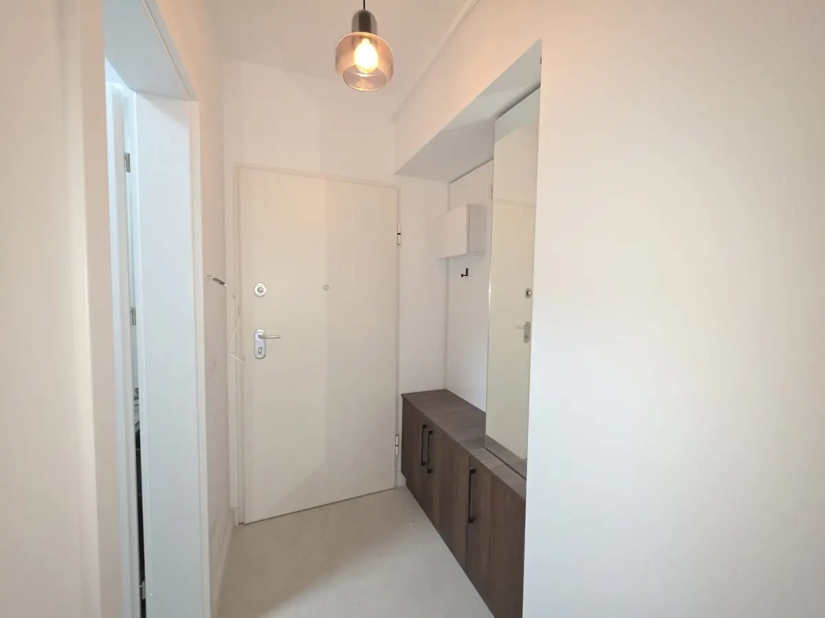 Apartament o camera Tatarasi - 42mp - mutare imediata. - foto 4