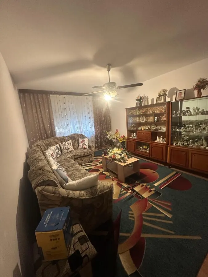 APARTAMENT 3 CAMERE DECOMANDAT FRUMOASA NICOLINA 135000 EURO - foto 11