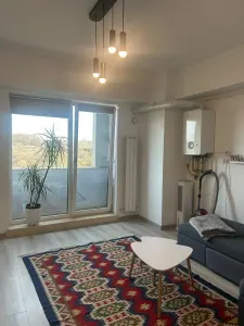 Studio modern, loc de parcare - Ciric-Tătăraşi - foto 6