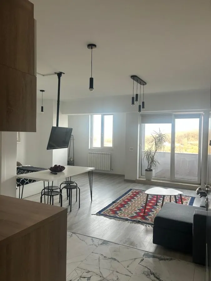 Studio modern, loc de parcare - Ciric-Tătăraşi - foto 7