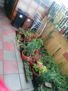 Apart 2 cam -D- 47 MP -Ideal Residence, CUG - 88.900 euro - foto 9