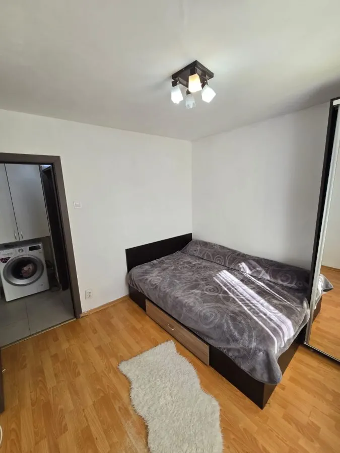 Apartament 2 camere Piata Nicolina - foto 3