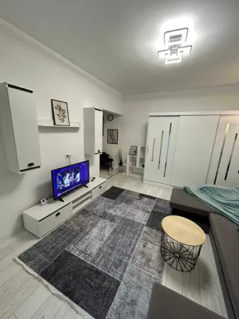 Apartament 2 camere Pacurari - 430 euro - foto 4