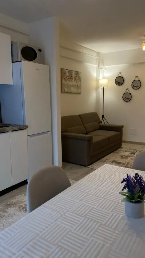 Inchiriere ap. 2 camere, open-space, Bucium-Visan, prima inchiriere - foto 2