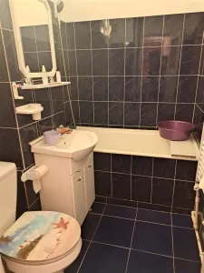 Apartament 2 Camere Zimbru - 350 euro - foto 9