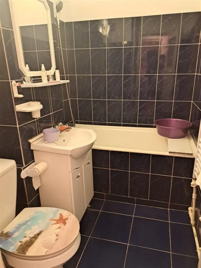 Apartament 2 Camere Zimbru - 350 euro - foto 9