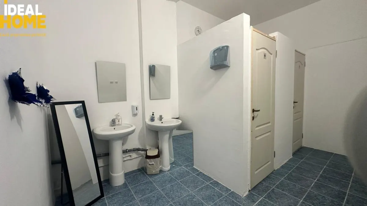 Spatiu 500 mp | DN28 Tomesti | vizibilitate excelenta | ideal clinica / showroom / sediu firma - foto 9