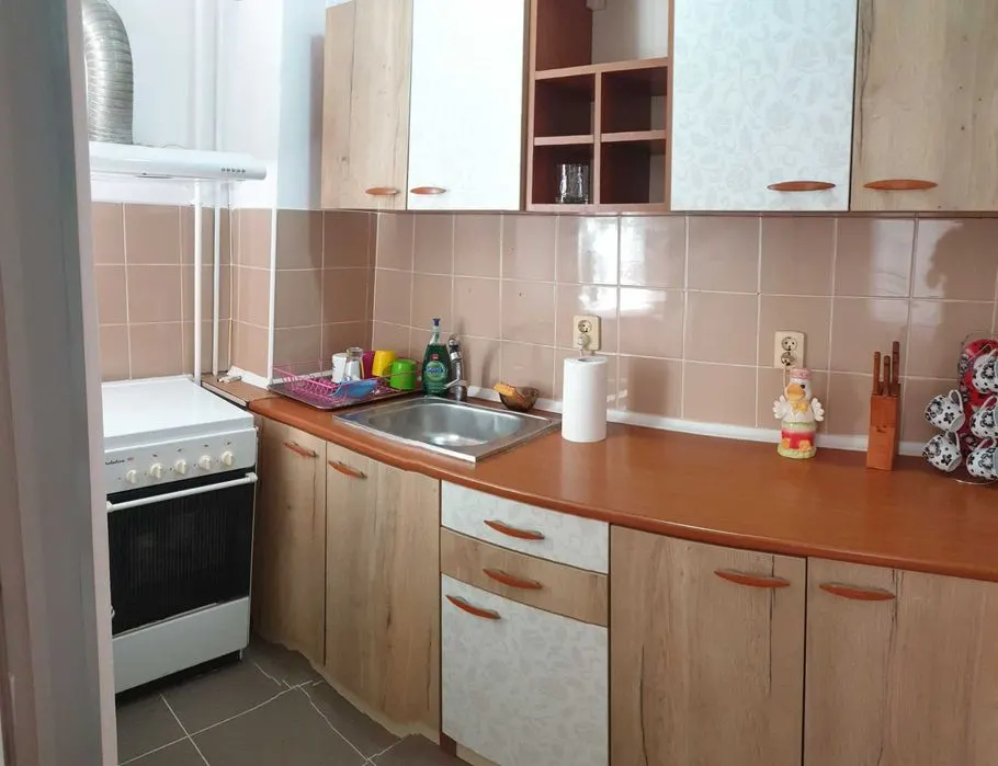 Garsoniera Astra,-piata ,parter, libera,67500 Euro - foto 8