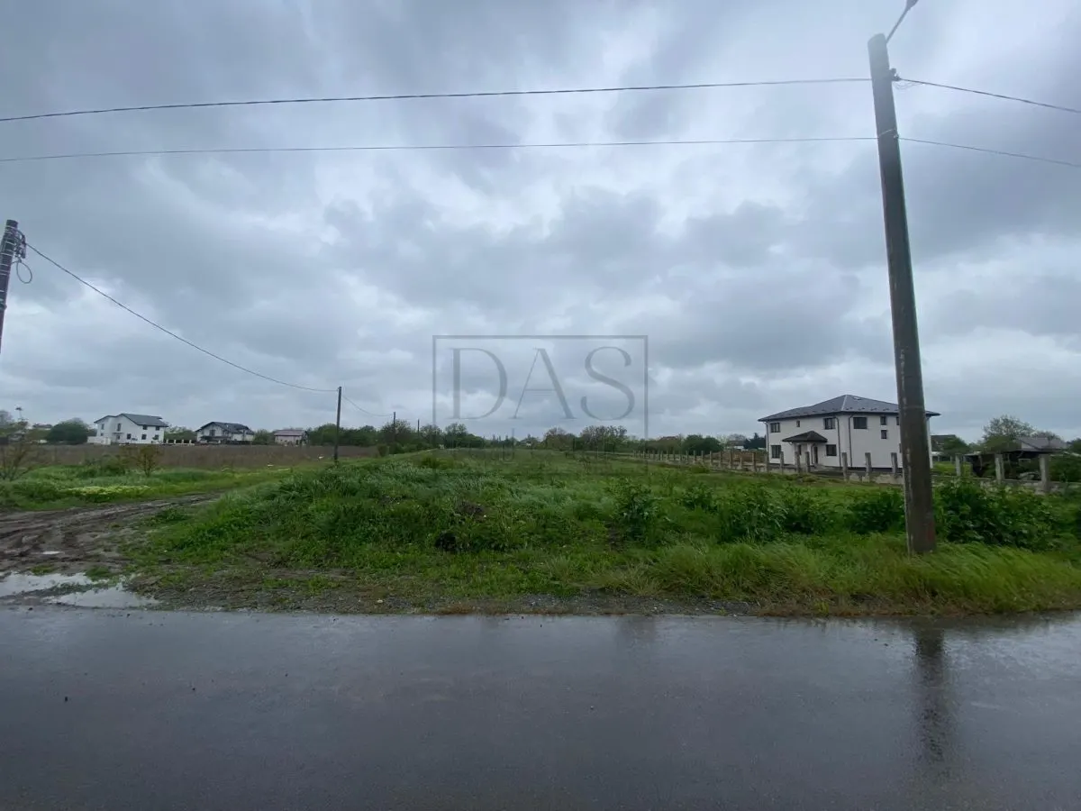 Teren intravilan | 3993 mp | Ciorogarla, Ilfov | Utilitati - foto 11