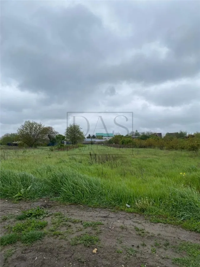 Teren intravilan | 3993 mp | Ciorogarla, Ilfov | Utilitati - foto 12