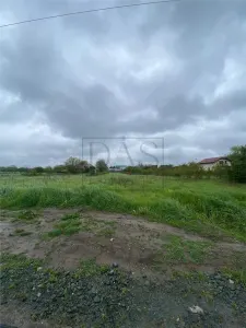 Teren intravilan | 3993 mp | Ciorogarla, Ilfov | Utilitati - foto 13