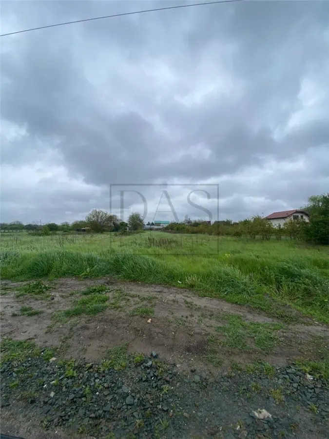 Teren intravilan | 3993 mp | Ciorogarla, Ilfov | Utilitati - foto 13