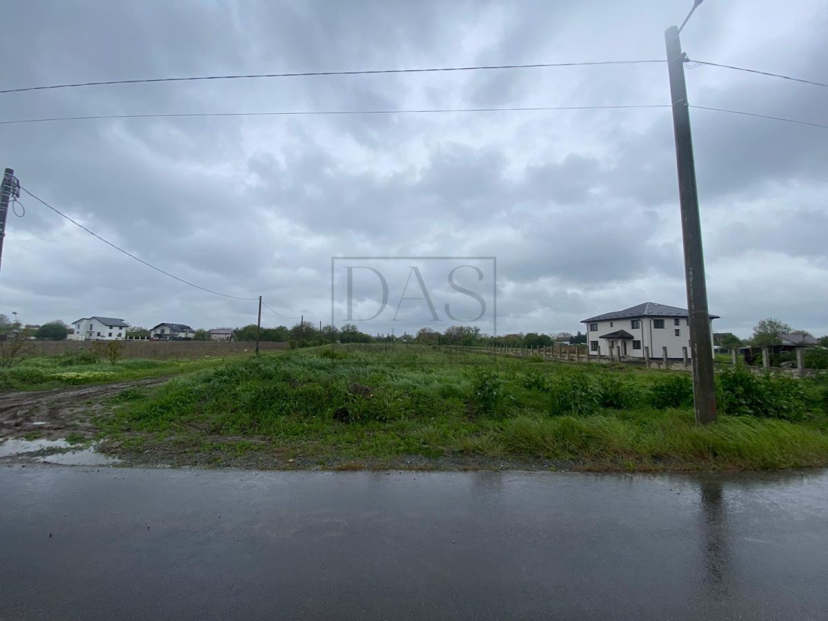 Teren intravilan | 3993 mp | Ciorogarla, Ilfov | Utilitati - foto 14
