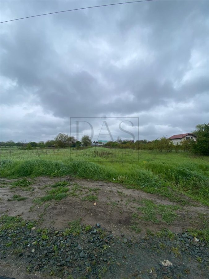 Teren intravilan | 3993 mp | Ciorogarla, Ilfov | Utilitati - foto 16