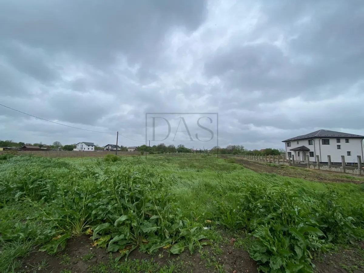 Teren intravilan | 3993 mp | Ciorogarla, Ilfov | Utilitati - foto 3