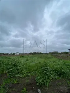 Teren intravilan | 3993 mp | Ciorogarla, Ilfov | Utilitati - foto 4