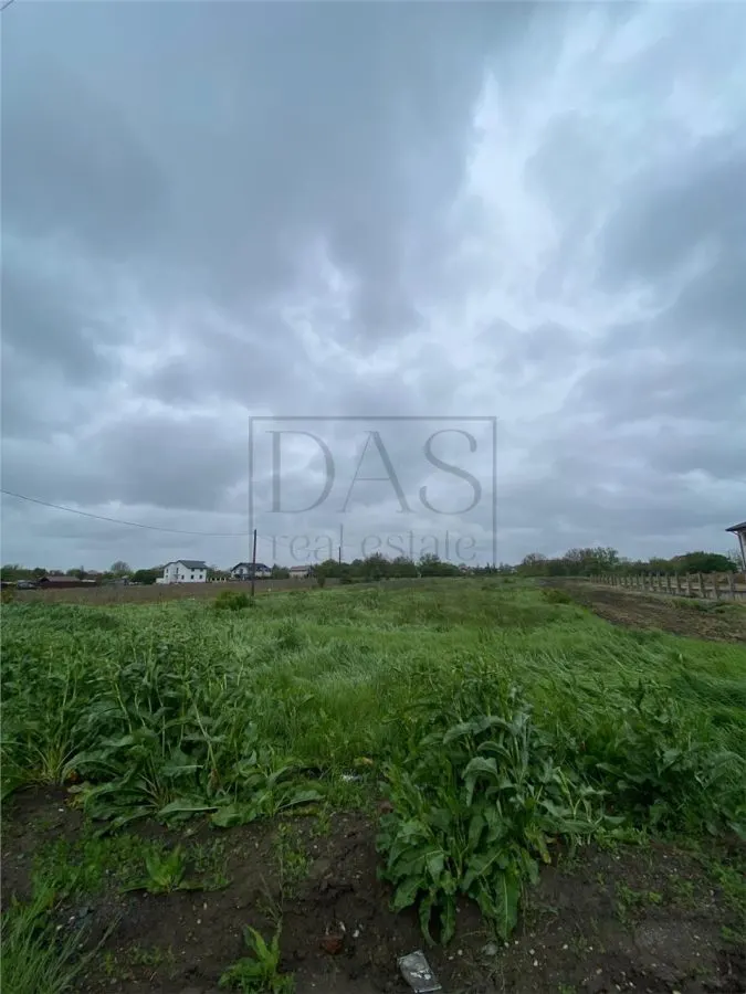 Teren intravilan | 3993 mp | Ciorogarla, Ilfov | Utilitati - foto 4