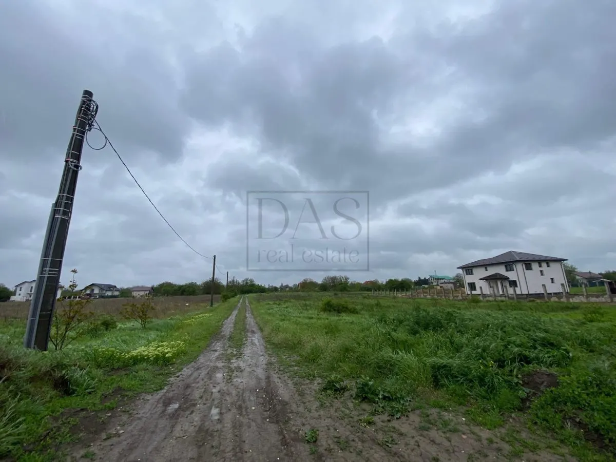 Teren intravilan | 3993 mp | Ciorogarla, Ilfov | Utilitati - foto 7