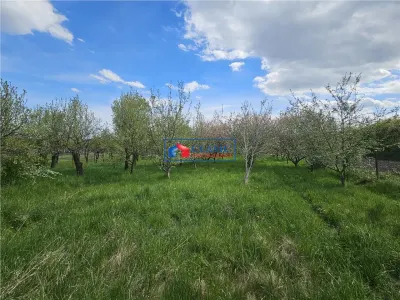 Comision 0% Casă individuală de vanzare, D+P+M, app. 300 mp utili, 4.000 mp teren, 20 min fata de Cluj-Napoca, Comșești, Tureni - foto 11