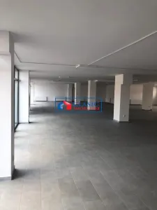 Inchiriere spatiu comercial 612 mp 10 parcari in Dambul Rotund - foto 4
