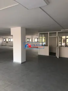 Inchiriere spatiu comercial 612 mp 10 parcari in Dambul Rotund - foto 5