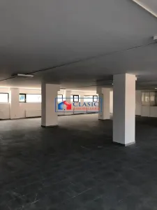 Inchiriere spatiu comercial 612 mp 10 parcari in Dambul Rotund - foto 7