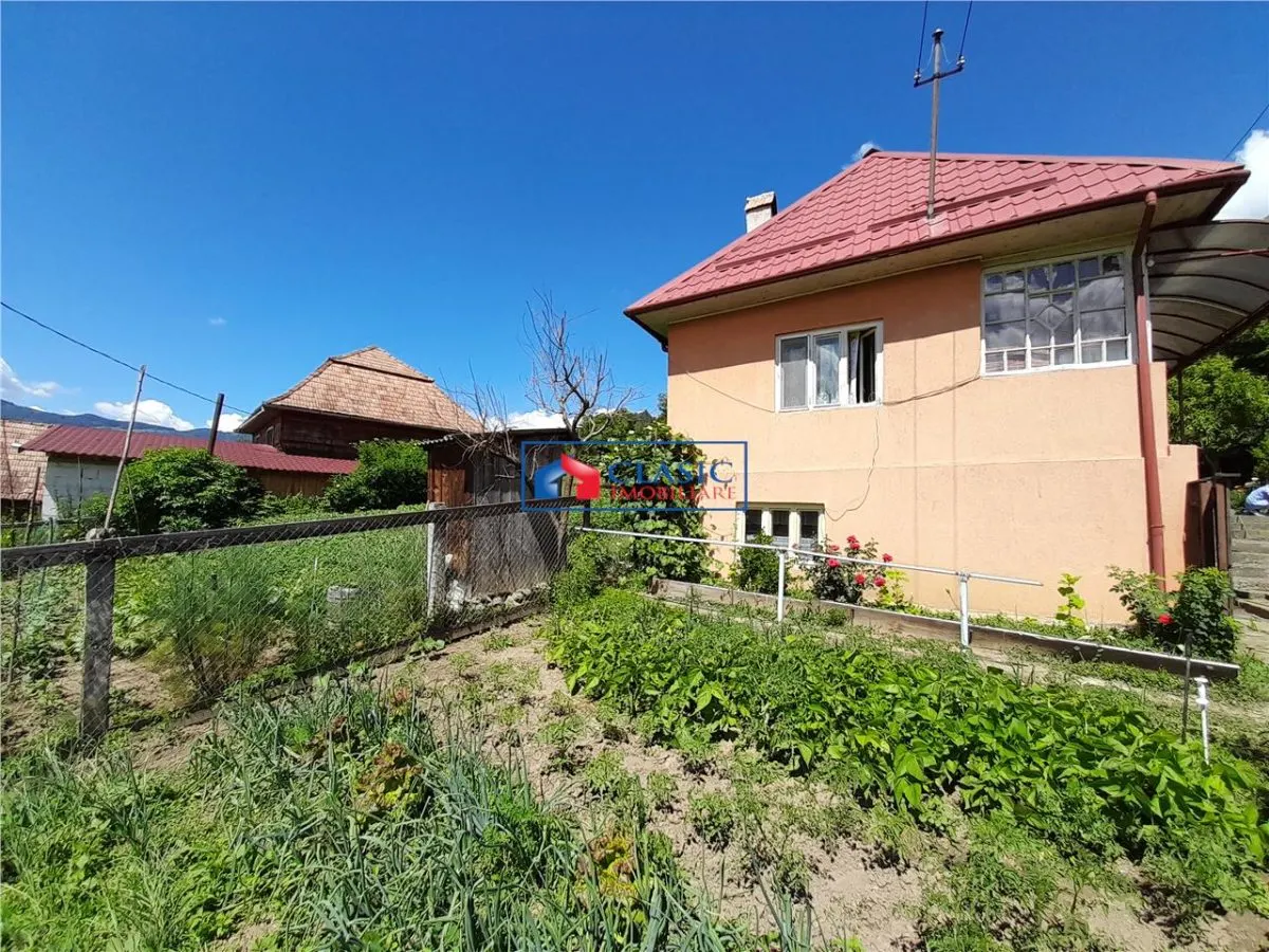 Vanzare casa cu anexe si 5500 mp teren, Valea Ariesului, Salciua - foto 1