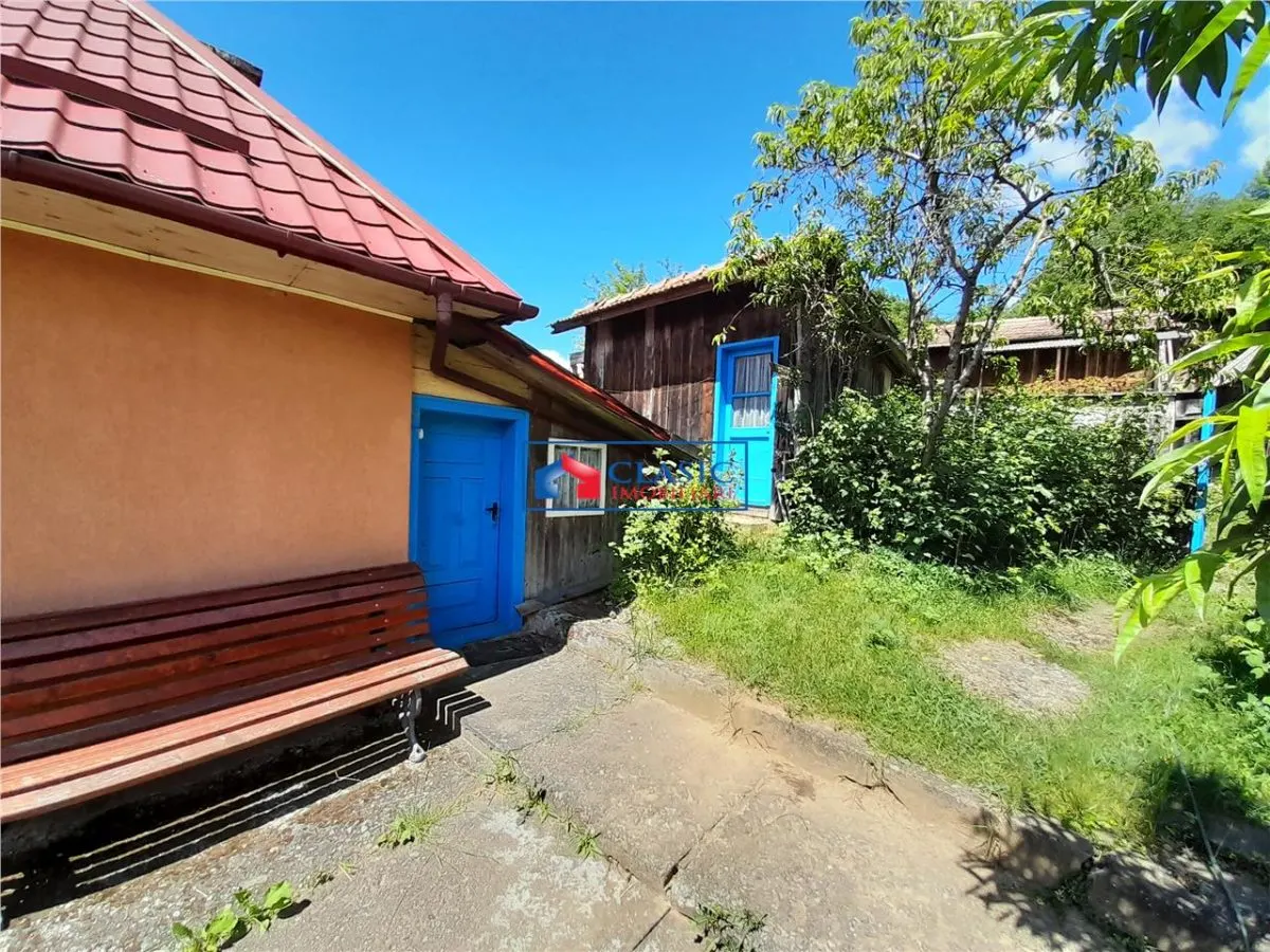 Vanzare casa cu anexe si 5500 mp teren, Valea Ariesului, Salciua - foto 3