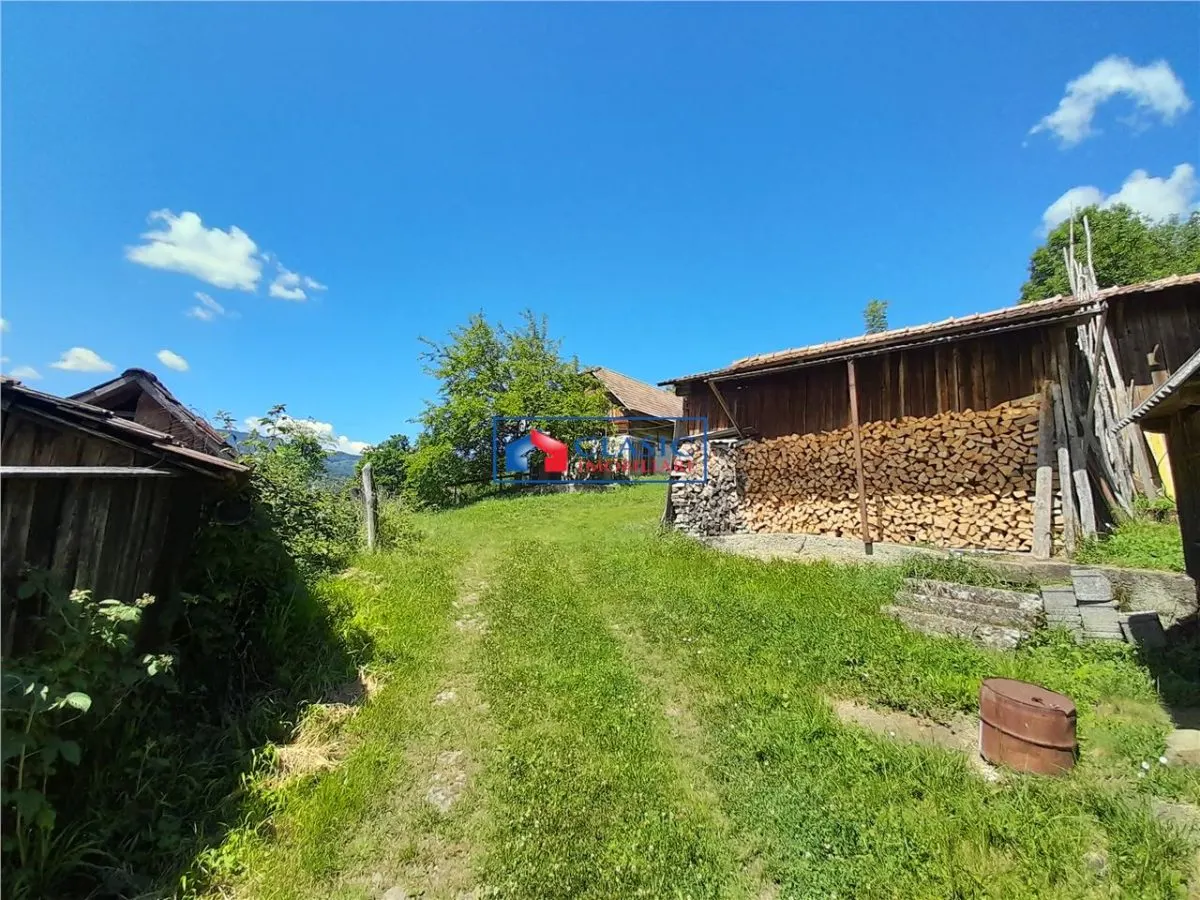 Vanzare casa cu anexe si 5500 mp teren, Valea Ariesului, Salciua - foto 5