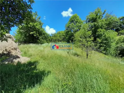 Vanzare casa cu anexe si 5500 mp teren, Valea Ariesului, Salciua - foto 6