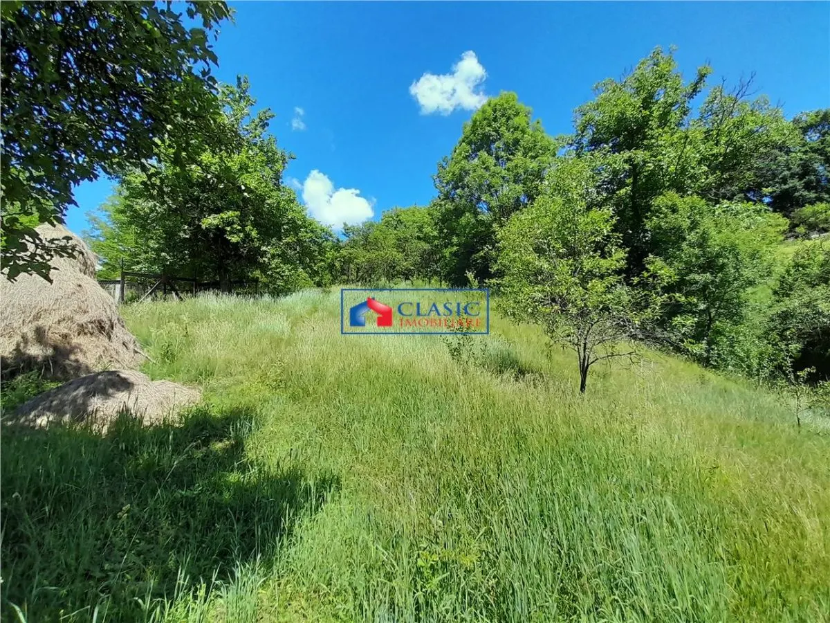 Vanzare casa cu anexe si 5500 mp teren, Valea Ariesului, Salciua - foto 6