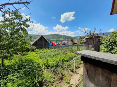 Vanzare casa cu anexe si 5500 mp teren, Valea Ariesului, Salciua - foto 7