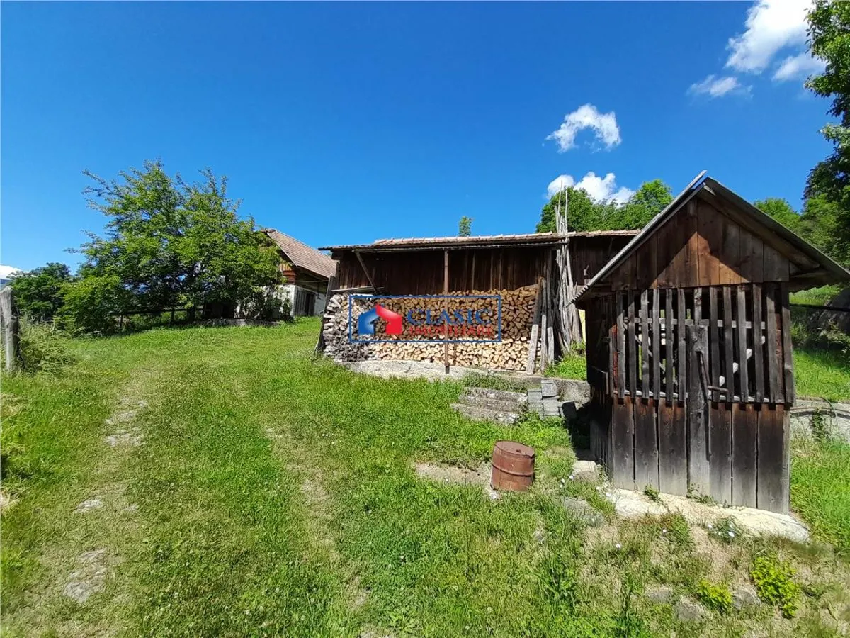 Vanzare casa cu anexe si 5500 mp teren, Valea Ariesului, Salciua - foto 8